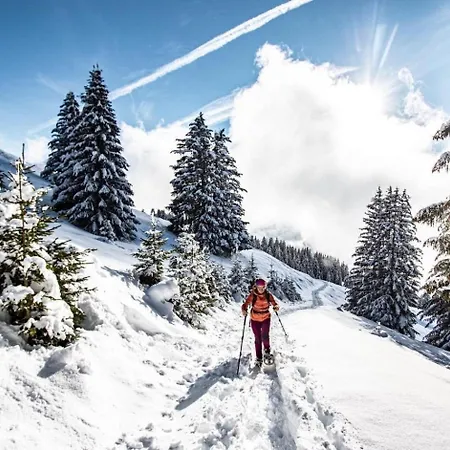 Marie Cmr Cosy & Lift 10 Pers Chalet